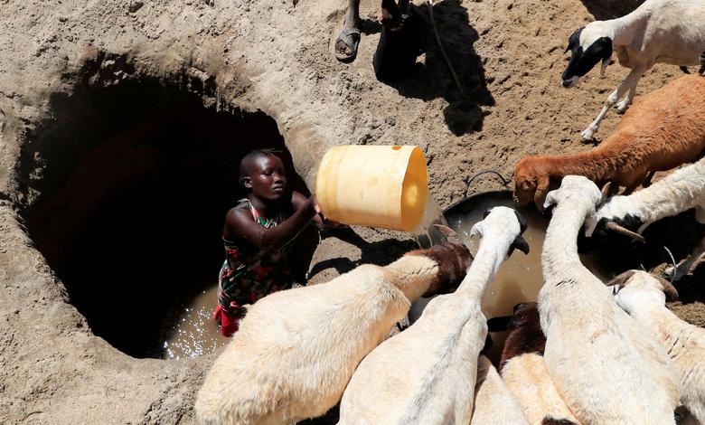 دامپرورانی که به علت خشکسالی با مشکل آب‌رسانی به احشام مواجه هستند، تورکانا، کنیا