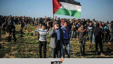 بخش ویژه «غزه» در هفدهمین جشنواره «سینماحقیقت»